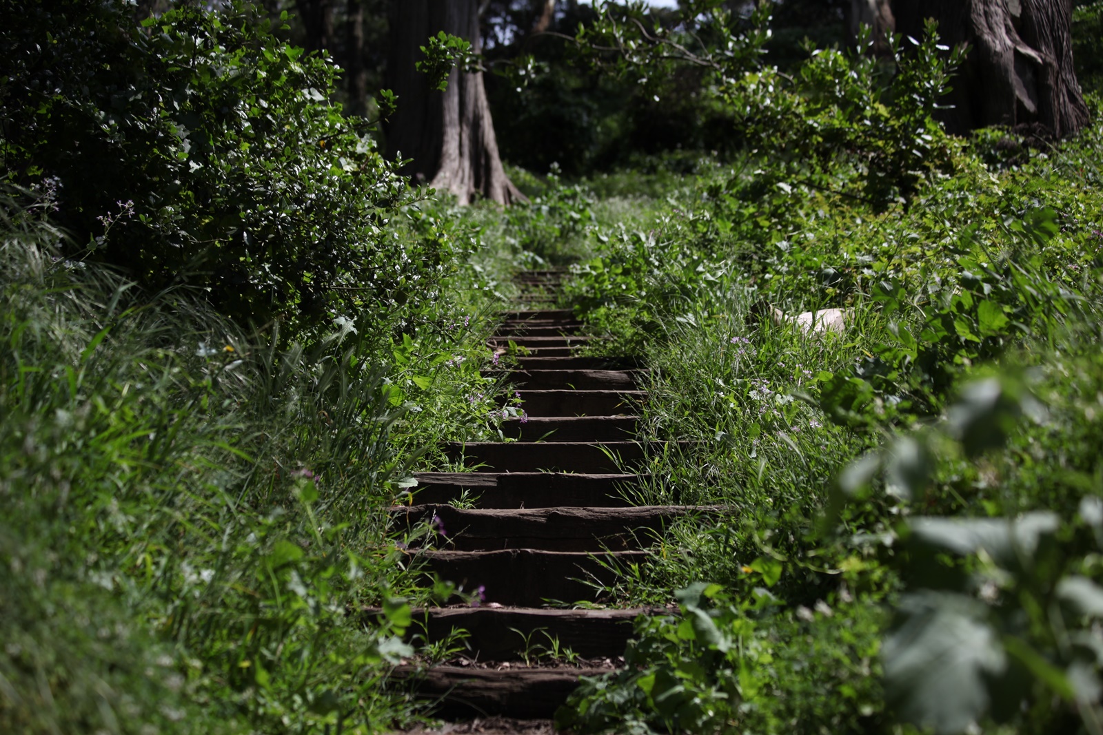Los materiales más resistentes para muebles exteriores